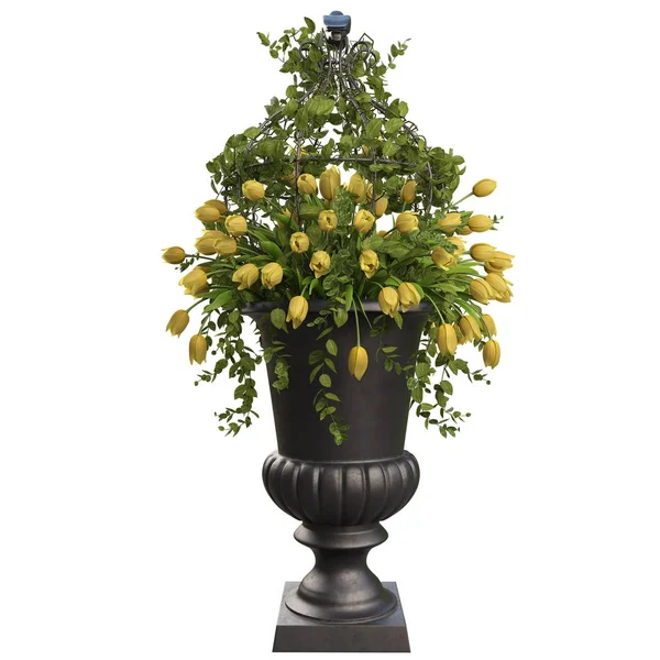 Flores de tulipas amarelas em vaso — Fotografia de Stock