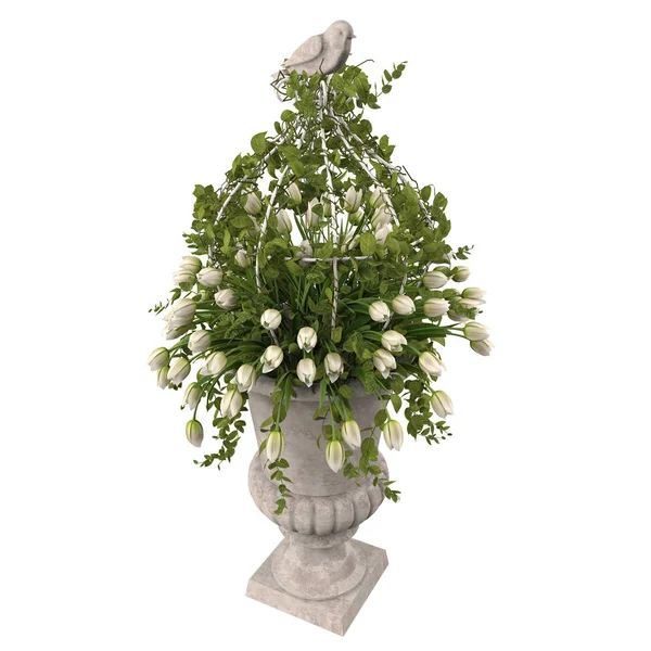 White tulips flowers in vase — Stock Photo, Image