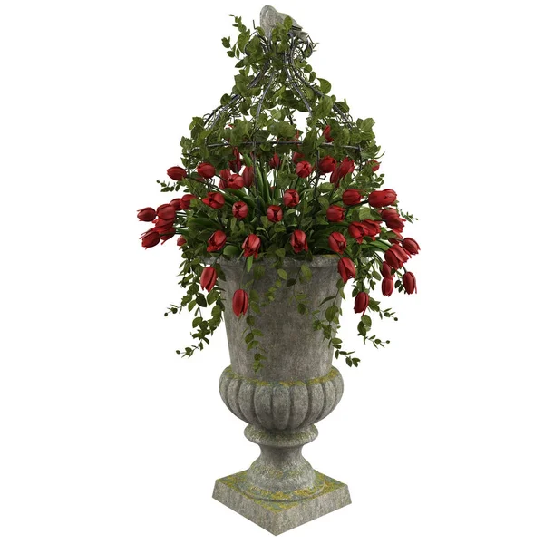 꽃병에 빨간 튤립 꽃 — 스톡 사진