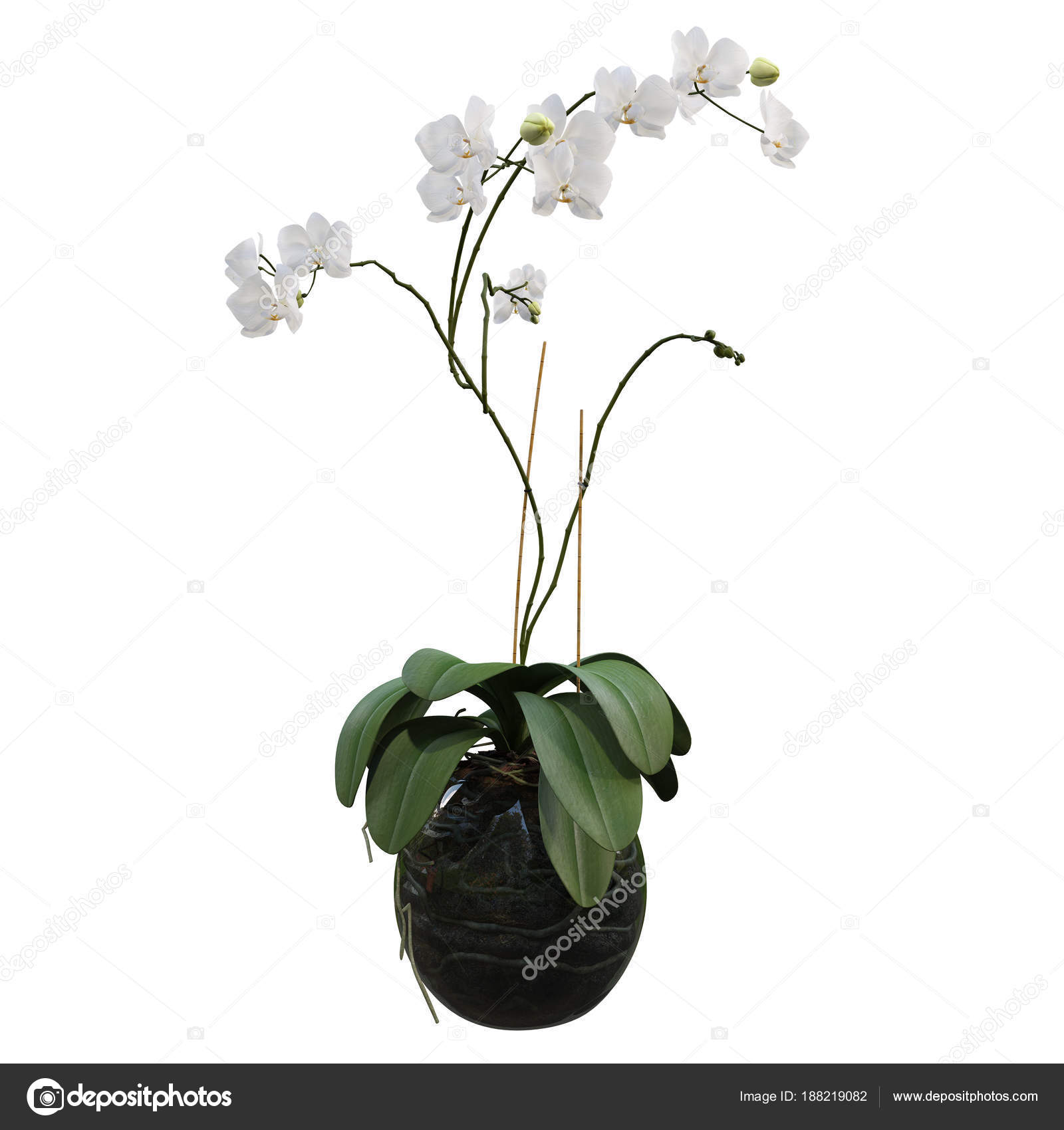 Flowers in pots — Stock © AgneshUladar