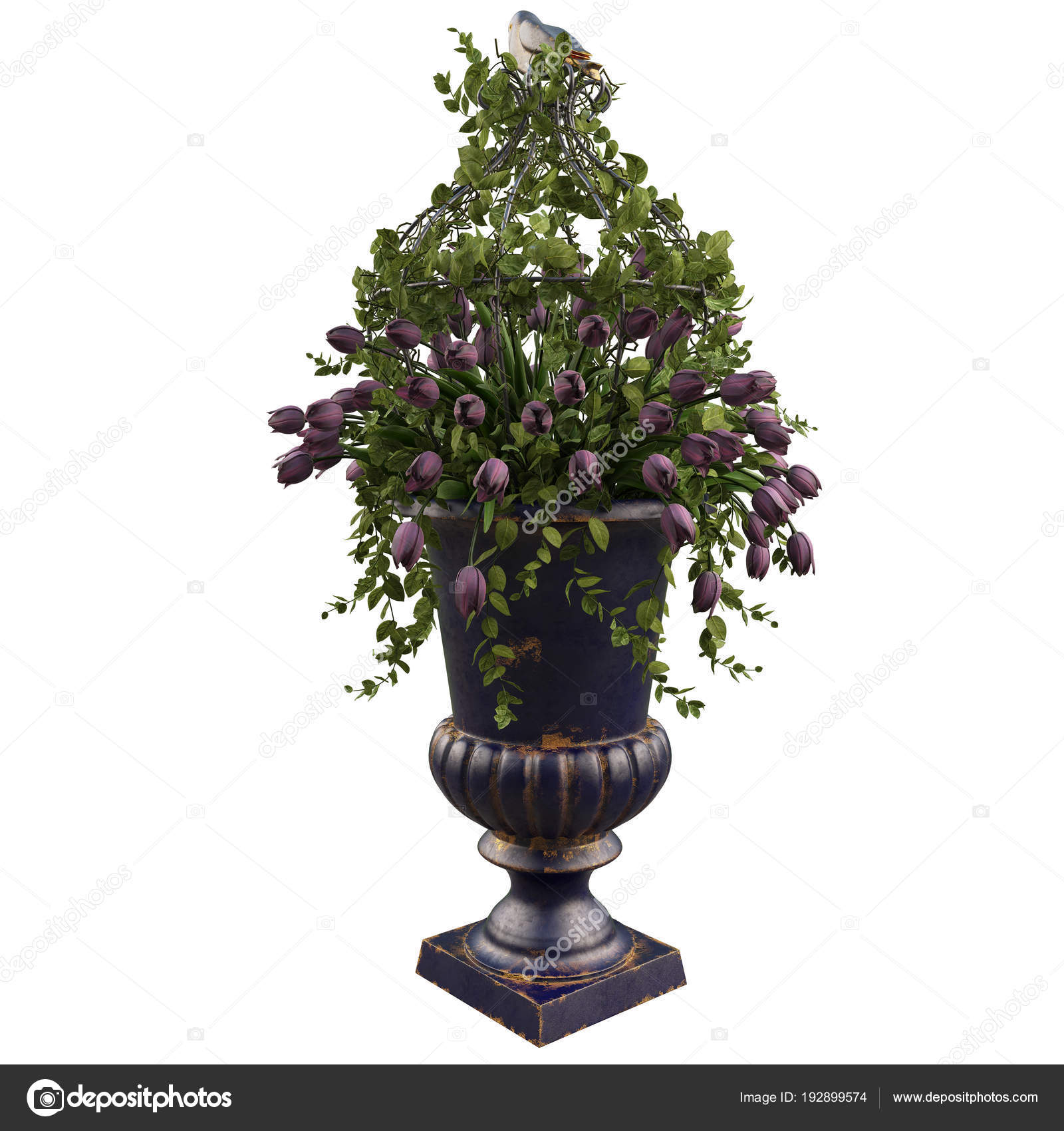 白いチューリップの花瓶の花 ストック写真 C Agneshuladar 白いチューリップの花瓶の花 ストック写真 C Agneshuladar