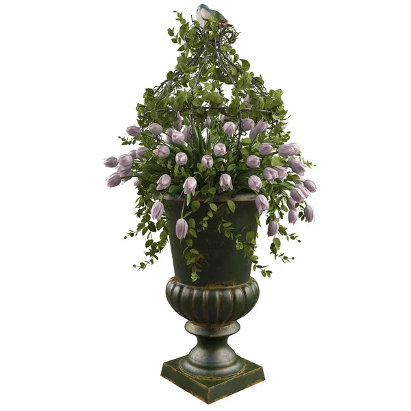 White tulips flowers in vase — Stock Photo, Image