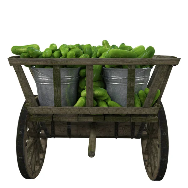 Marketlere Marketlere Gönderilmeden Önce Toplanan Salatalıklar Metal Kovalarda Bir Arabada — Stok fotoğraf