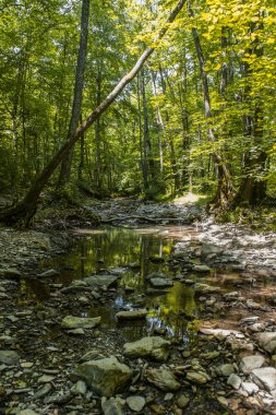 Doğanın güzelliği