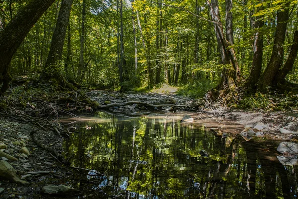 Doğanın güzelliği