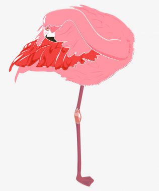 Pembe flamingo arka plan vektör çizim.