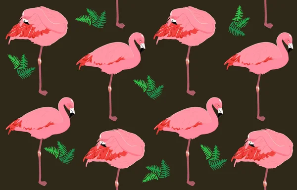 Pembe flamingo arka plan vektör çizim.