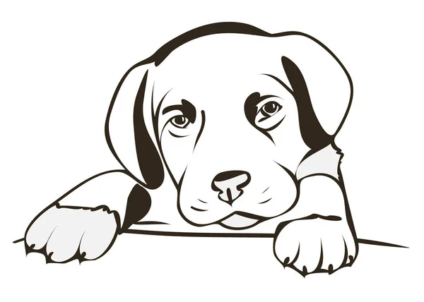 Mavi gözlü şirin köpek yavrusu. Vektör çizim.
