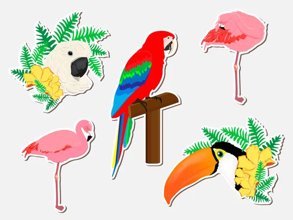 Zestaw Naklejek Ptaków Toucan Biała Papuga Papuga Czerwona Różowy Flaming — Wektor stockowy