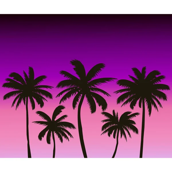 Pozadí Siluety Tropické Kokosové Palmy Letní Štítek Plakát Leták Pozvánky — Stockový vektor