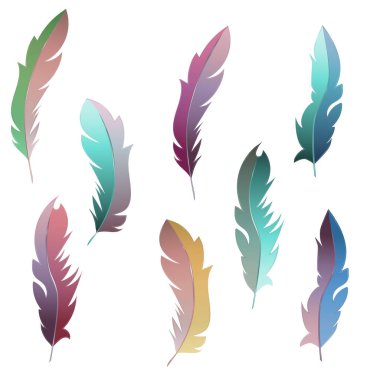 Vektör tüy kümesi (aşağı, tüy, Kuğu tüyü, kaz tüyü, tavuk tüyü). 