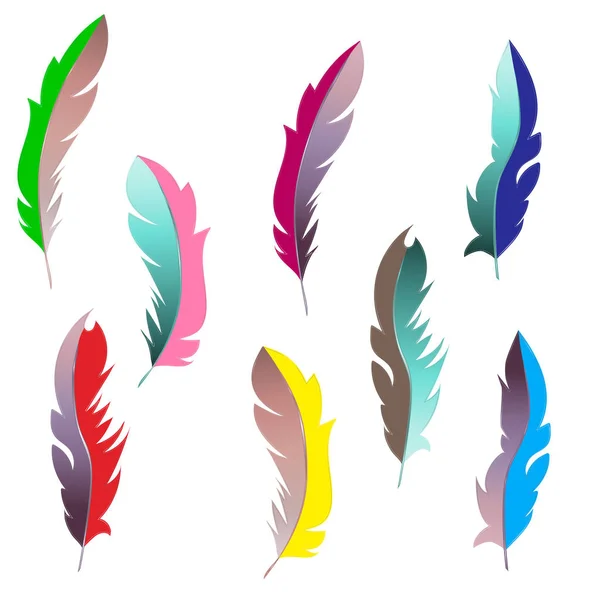 Conjunto Vectorial Plumas Plumas Plumas Plumas Cisne Plumas Ganso Plumas — Archivo Imágenes Vectoriales