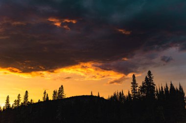 Ormanın üzerinde gün batımı