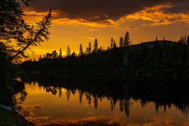 Ormanın üzerinde gün batımı