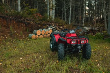 Arazi aracı ve orman.