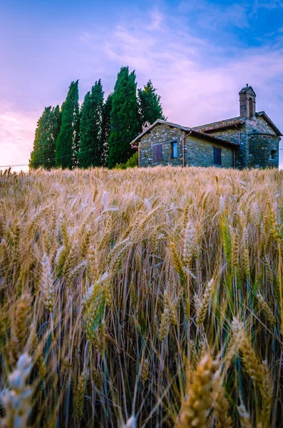 Church Umbrian Cuntryside Italy — Stock Photo, Image