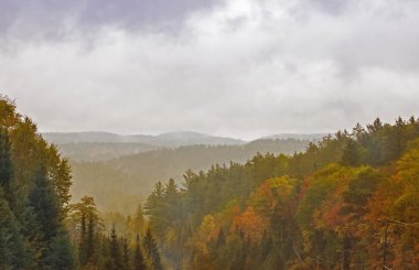 Algonquin Park, Kanada'da düşmek