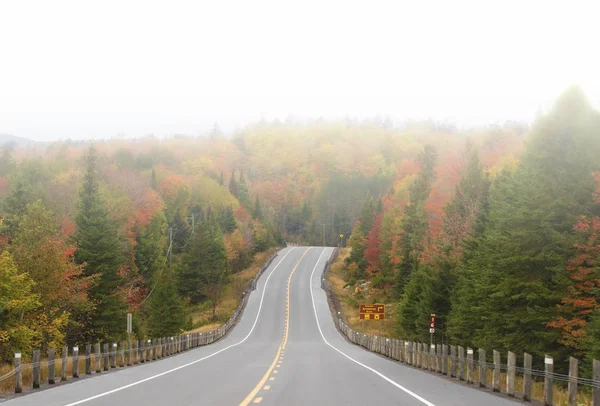 Karayolunun 60 Algonquin Park, Kanada'da düşmek