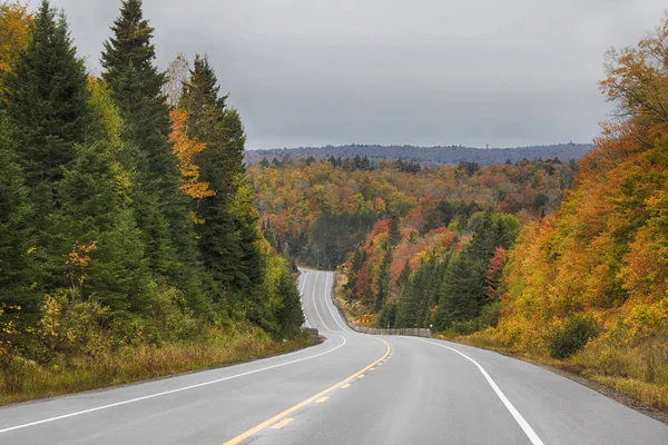 Karayolunun 60 Algonquin Park, Kanada'da düşmek