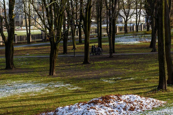 Рига Латвія Жовтня 2019 Перший Сніг Парку Купі Осіннього Листя — стокове фото