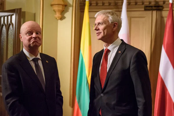 Ρίγα Λετονία Δεκεμβρίου 2019 Saulius Skvernelis Πρωθυπουργός Της Λιθουανίας Και — Φωτογραφία Αρχείου