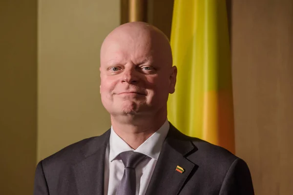 Riga Latvia Diciembre 2019 Saulius Skvernelis Primer Ministro Lituania Durante — Foto de Stock