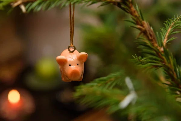 Ceramic pig Christmas decoration, hanged on Christmas tree.