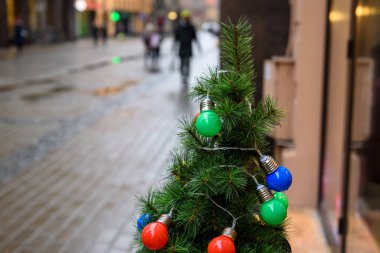 Çam ağacının dalında renkli ampuller. Şehirde Noel süslemesi.