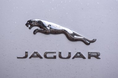 RIGA, LATVIA. 17 Eylül 2019. Jaguar logosu arabada. İngiliz çok uluslu araba üreticisi Jaguar Land Rover 'ın lüks bir markası.