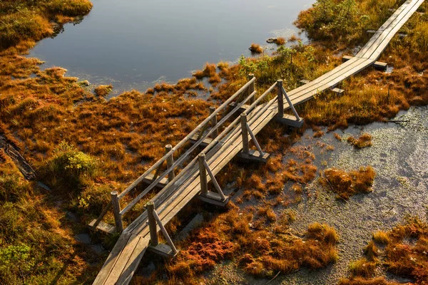 Great Kemeri Bog Boardwalk Στο Kemeri Λετονία — Φωτογραφία Αρχείου