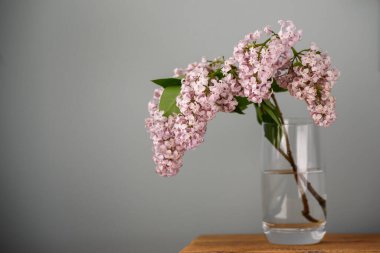 Seçici odak fotoğrafı. Cam vazoda leylak çiçekleri.
