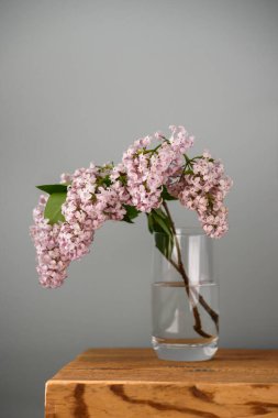 Seçici odak fotoğrafı. Cam vazoda leylak çiçekleri.