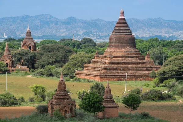 Świątynie w Bagan, Myanmar — Zdjęcie stockowe