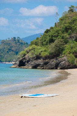 Sahilde sörf tahtası 