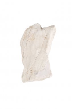 Çalışma yolları, Clippin ile beyaz seçici odak üzerinde izole mercan