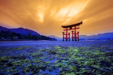 Tori Hiroşima Japonya ve altın gökyüzü