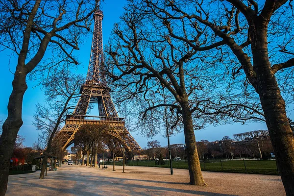 Tour Eiffel avec arbre de printemps à Paris, France — Photo