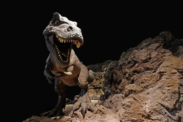 Modelo de dinossauros isolados em fundo preto — Fotografia de Stock