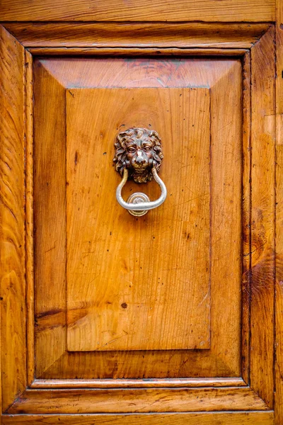 Puerta de cabeza de león Knocke — Foto de Stock