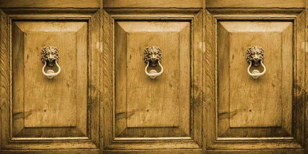 Głowy Lwa drzwi Knocke — Zdjęcie stockowe