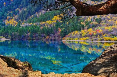 Görünüm Jiuzhaigou Milli Parkı
