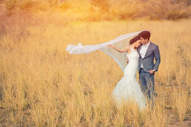 Çayırda mutlu romantik genç Çift