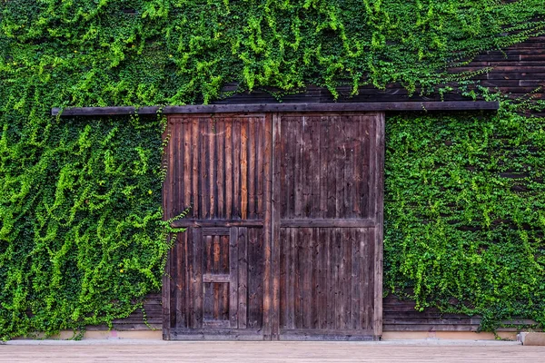 Duże stare drewniane drzwi do tajemniczy ogród — Zdjęcie stockowe