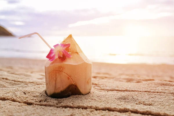 Agua dulce de coco en la playa al amanecer —  Fotos de Stock