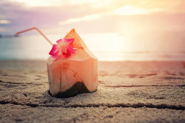 Acqua di cocco fresca sulla spiaggia all'alba — Foto Stock