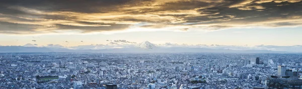 富士山覆盖着白雪和日本的 twil 天空中的城市景观 — 图库照片