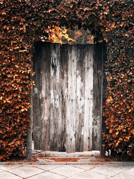 Oude houten deur in de tuin — Stockfoto