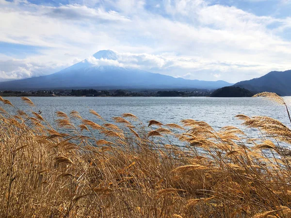 Belle Vue Sur Montagne Fuji Lac Kawaguchiko Japon — Photo