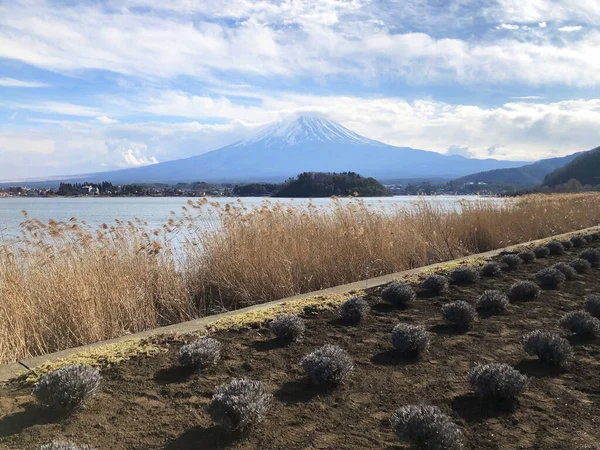 Japonya Daki Fuji Dağı Kawaguchiko Gölü Nün Güzel Manzarası — Stok fotoğraf