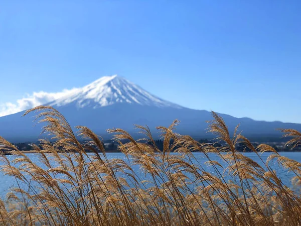 Krásný Výhled Hory Fuji Jezero Kawaguchiko Japonsku Stock Snímky